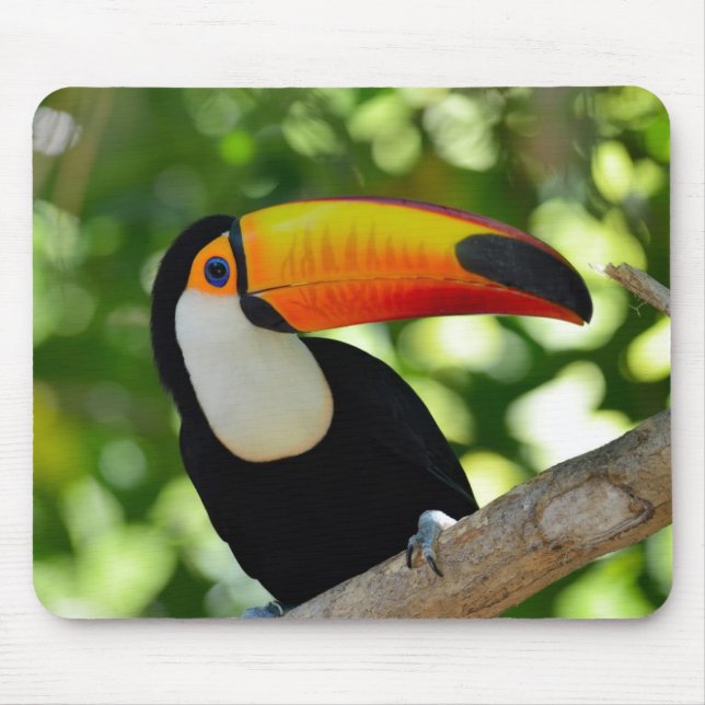 Alfombrilla De Ratón Toucan (Frente)
