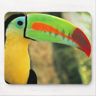 Alfombrilla De Ratón Toucan Mousepad