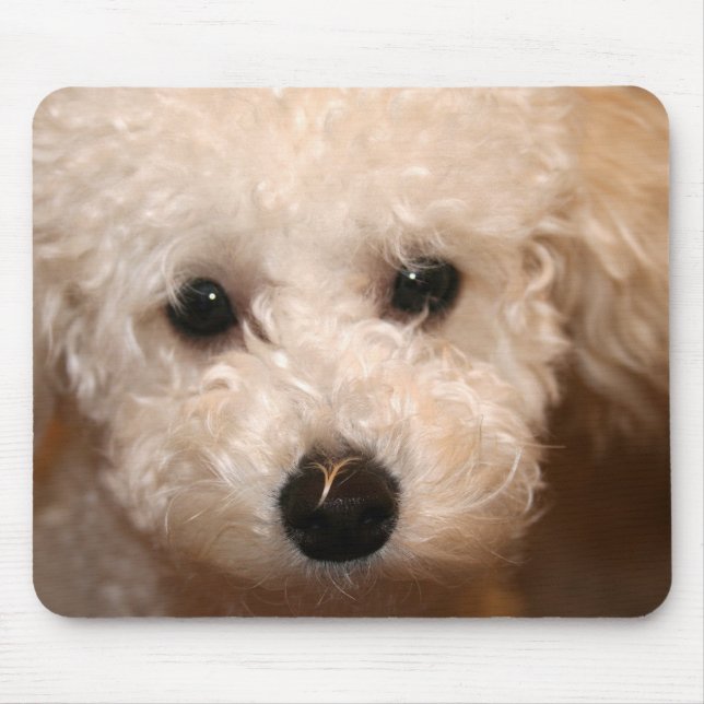 Alfombrilla De Ratón Toy Poodle Puppy Mousepad (Frente)
