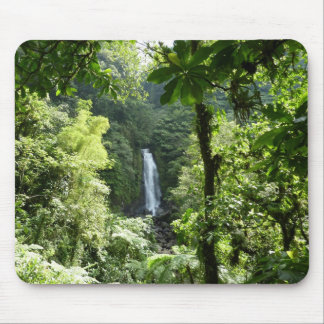 Alfombrilla De Ratón Trafalgar cae fotografía tropical de selva tropica