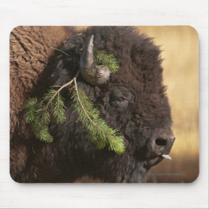 Alfombrilla De Ratón Travesura del día de fiesta