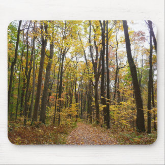 Alfombrilla De Ratón Trayecto de otoño y hojas de oro en Laurel Hill Pa