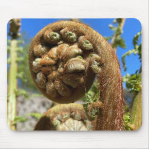 Alfombrilla De Ratón Tree Fern Frond