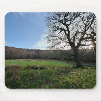 Alfombrilla De Ratón Tree view..