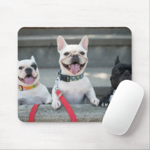 Alfombrilla De Ratón Tres Bulldoges franceses