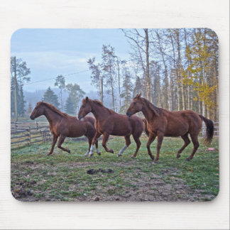 Alfombrilla De Ratón Tres caballos se mueven como regalo de fotos de un