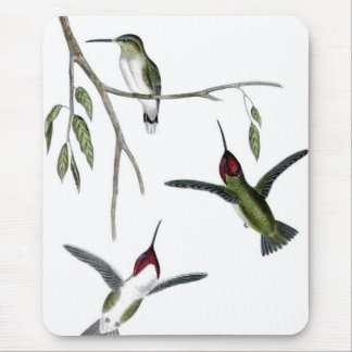 Alfombrilla De Ratón Tres colibríes verdes