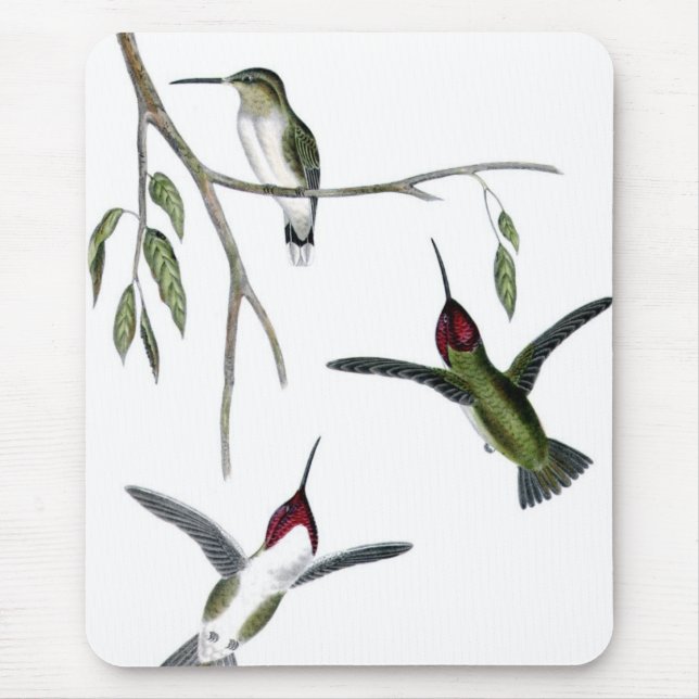 Alfombrilla De Ratón Tres colibríes verdes (Frente)