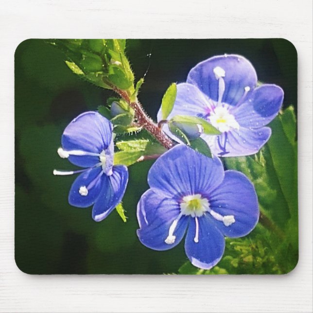 Alfombrilla De Ratón Tres flores azules  (Frente)