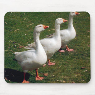 Alfombrilla De Ratón Tres gansos el apuntalar - Mousemat. Modifique