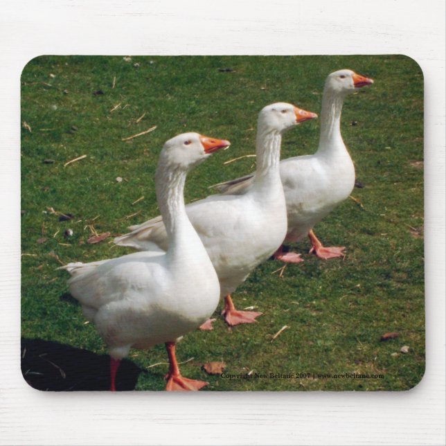Alfombrilla De Ratón Tres Geese a Strutting - Mousemat. Personalizar. (Frente)
