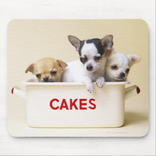 Alfombrilla De Ratón Tres perritos de la chihuahua en lata de la torta