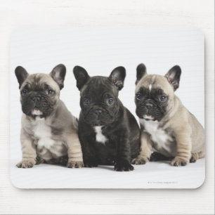 Alfombrilla De Ratón Tres perritos pedigríes