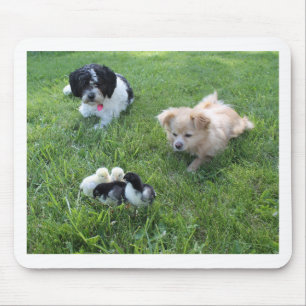 Alfombrilla De Ratón Tres perros lindos en la hierba