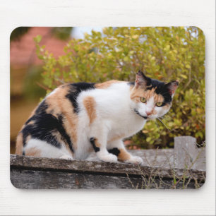 Alfombrilla De Ratón Tricolor