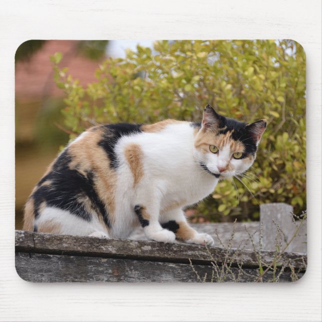 Alfombrilla De Ratón Tricolor (Frente)