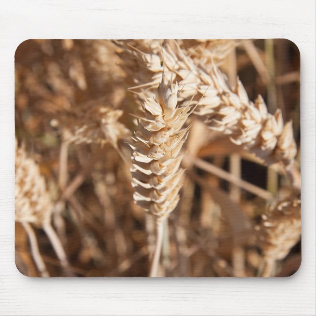 Alfombrilla De Ratón Trigo (Frente)