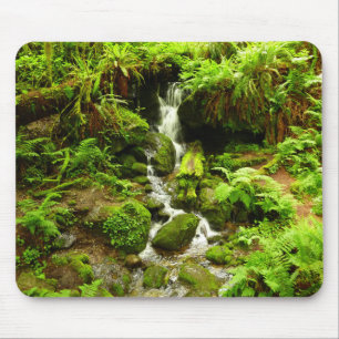 Alfombrilla De Ratón Trillium Falls en el Parque Nacional Redwood