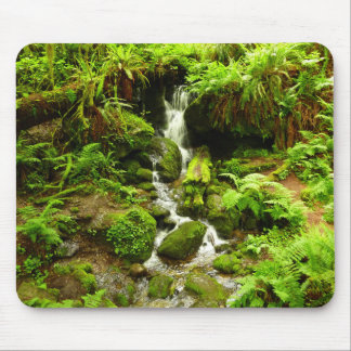 Alfombrilla De Ratón Trillium Falls en el Parque Nacional Redwood