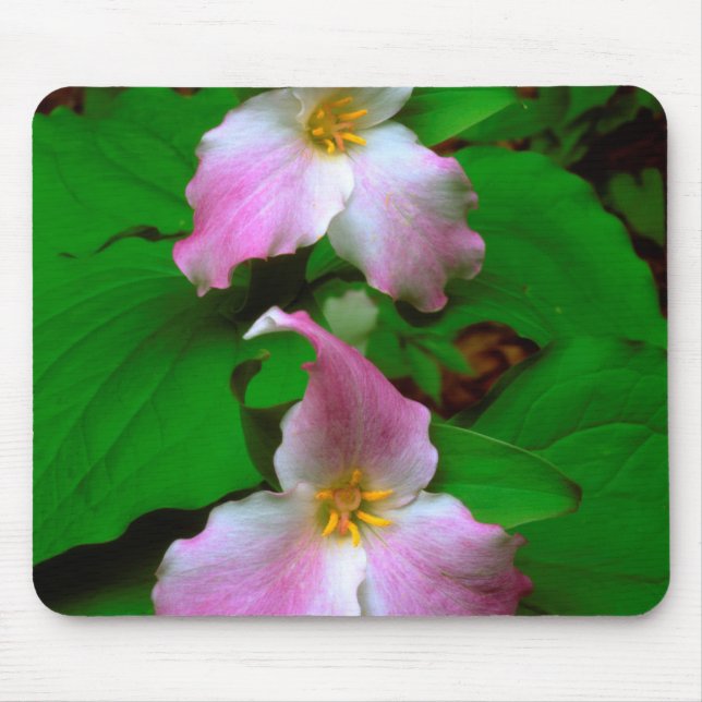 Alfombrilla De Ratón Trillium Flor Silvestre (Frente)