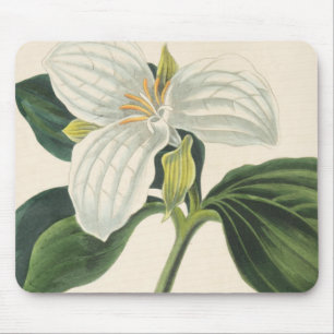 Alfombrilla De Ratón Trillium florecido grande