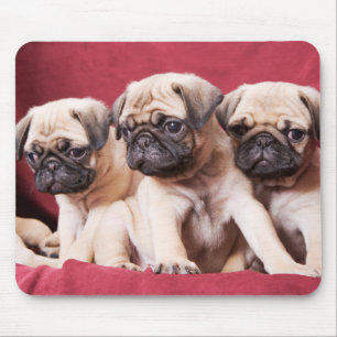 Alfombrilla De Ratón Trillizos Pug