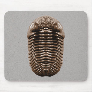 Alfombrilla De Ratón Trilobite Mousepad