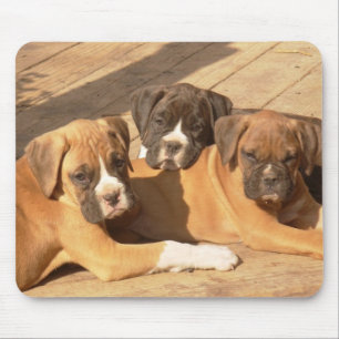 Alfombrilla De Ratón Trio de cachorros boxer mousepad