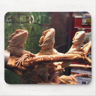 Alfombrilla De Ratón Trío de Leezard