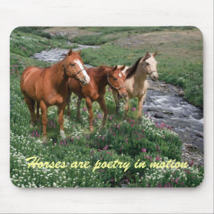 Alfombrilla De Ratón Trío Mousepad del caballo