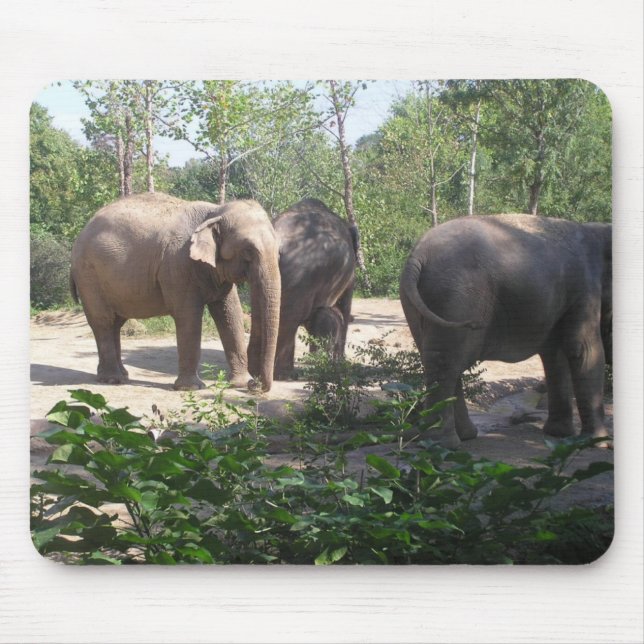 Alfombrilla De Ratón Trío Mousepad del elefante (Frente)