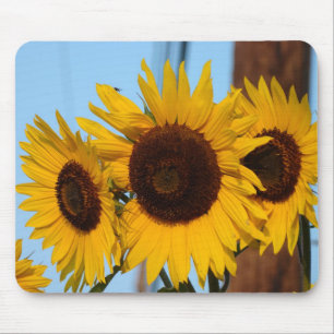 Alfombrilla De Ratón Trío Mousepad del girasol