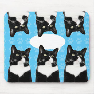 Alfombrilla De Ratón Triple Cute Kitty Funny Cat Epic