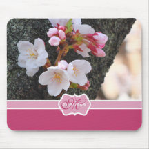 Tronco de árbol floreciente de Sakura de la flor