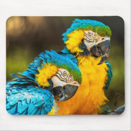Alfombrilla De Ratón Tropical Companions Wildlife Photo Wall Art Print