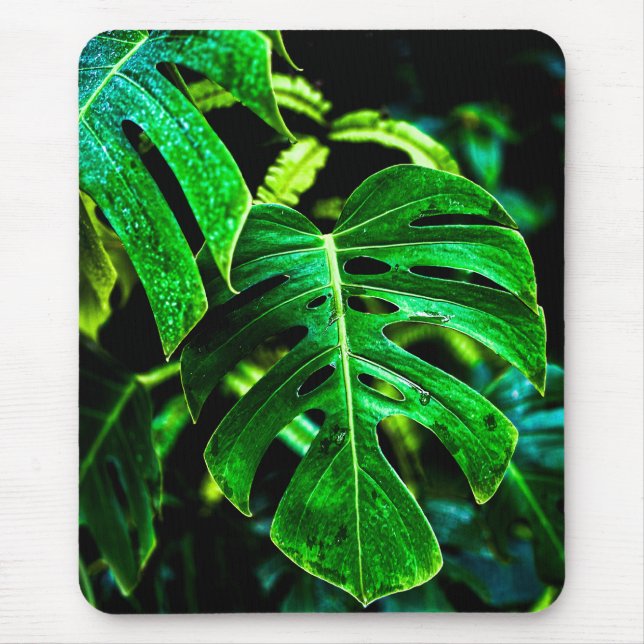 Alfombrilla De Ratón Tropical Monstera Glow – Jungle Leaf Photography (Frente)