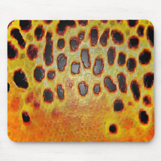Alfombrilla De Ratón Trucha de Brown - Mousepad