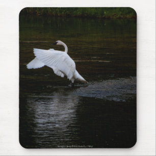 Alfombrilla De Ratón Trumpeter Swan