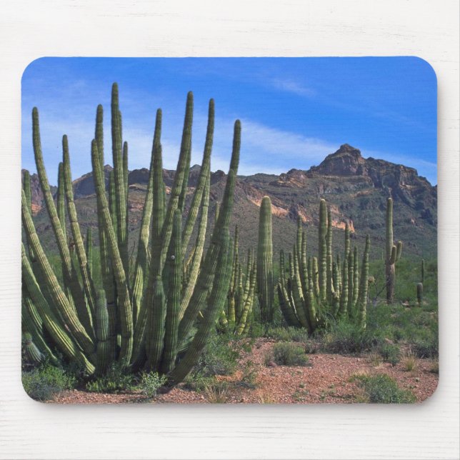 Alfombrilla De Ratón Tubos de órgano en desierto (Frente)