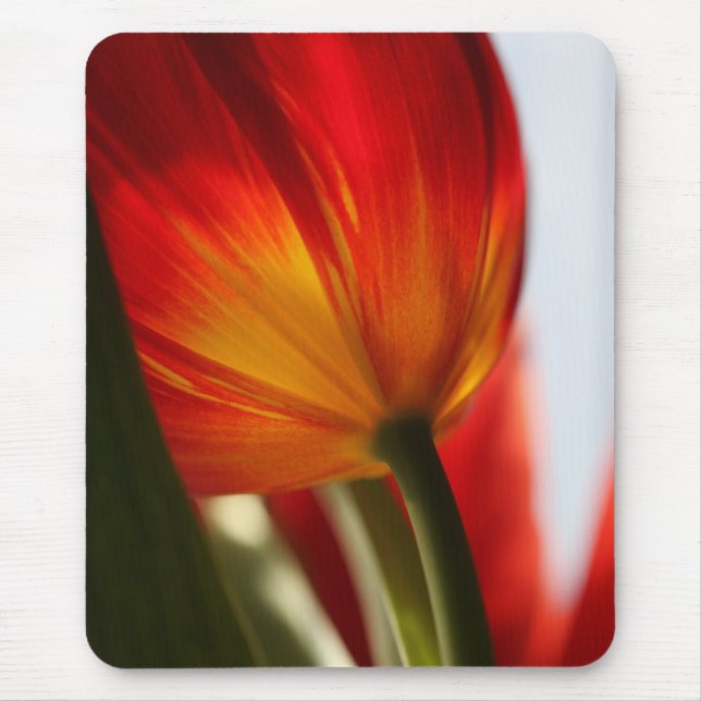 Alfombrilla De Ratón Tulip (Frente)
