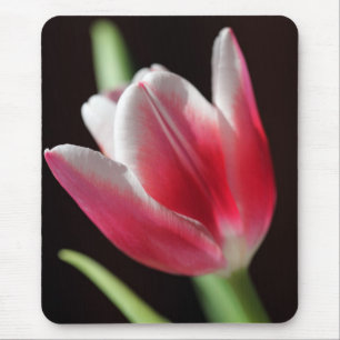 Alfombrilla De Ratón Tulip