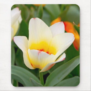 Alfombrilla De Ratón Tulip