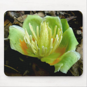 Alfombrilla De Ratón Tulip Poplar Flower Mousepad
