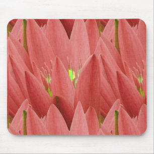 Alfombrilla De Ratón Tulip rosa