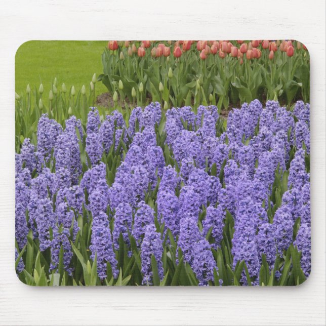 Alfombrilla De Ratón Tulip y Hyacinth Garden, Keukenhof Gardens, (Frente)