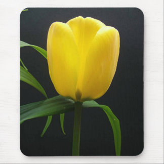 Alfombrilla De Ratón Tulipán amarillo único en fondo negro