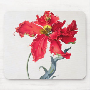 Alfombrilla De Ratón Tulipán: Colorete de Perroquet