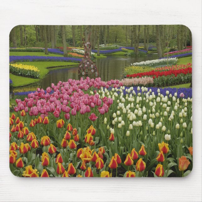Alfombrilla De Ratón Tulipán y jardín de jacinto, Keukenhof Gardens, (Frente)