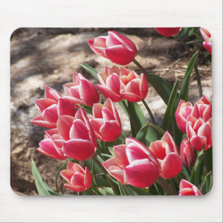 Alfombrilla De Ratón Tulipanes