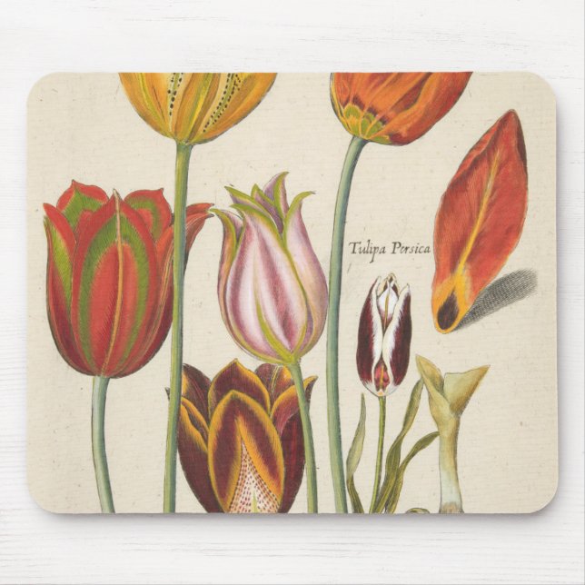 Alfombrilla De Ratón Tulipanes (Frente)